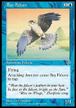 Bay Falcon